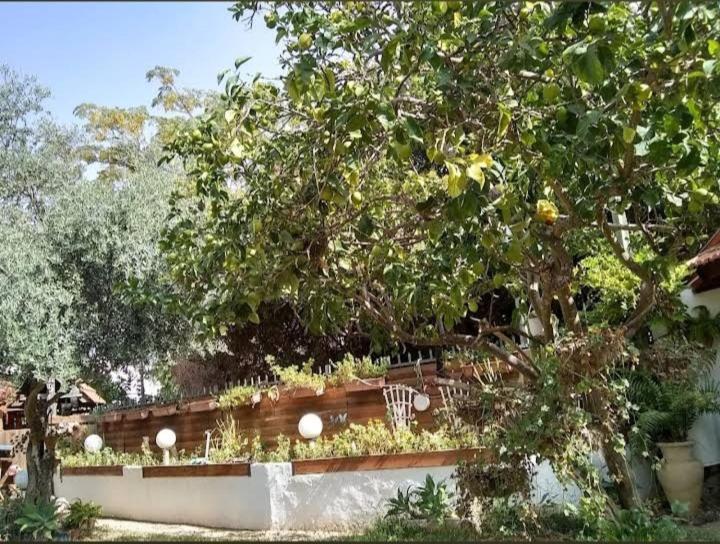 Czarina Cabin הבקתה הקיסרית והדירה הקיסרית Czarina Apartment Caesarea Exterior foto